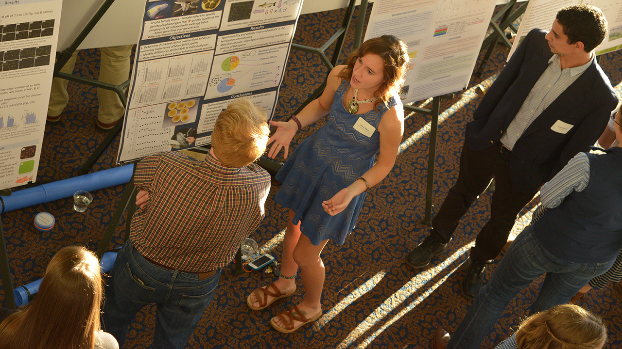 Overhead shot of graduate student and professor discussing research poster