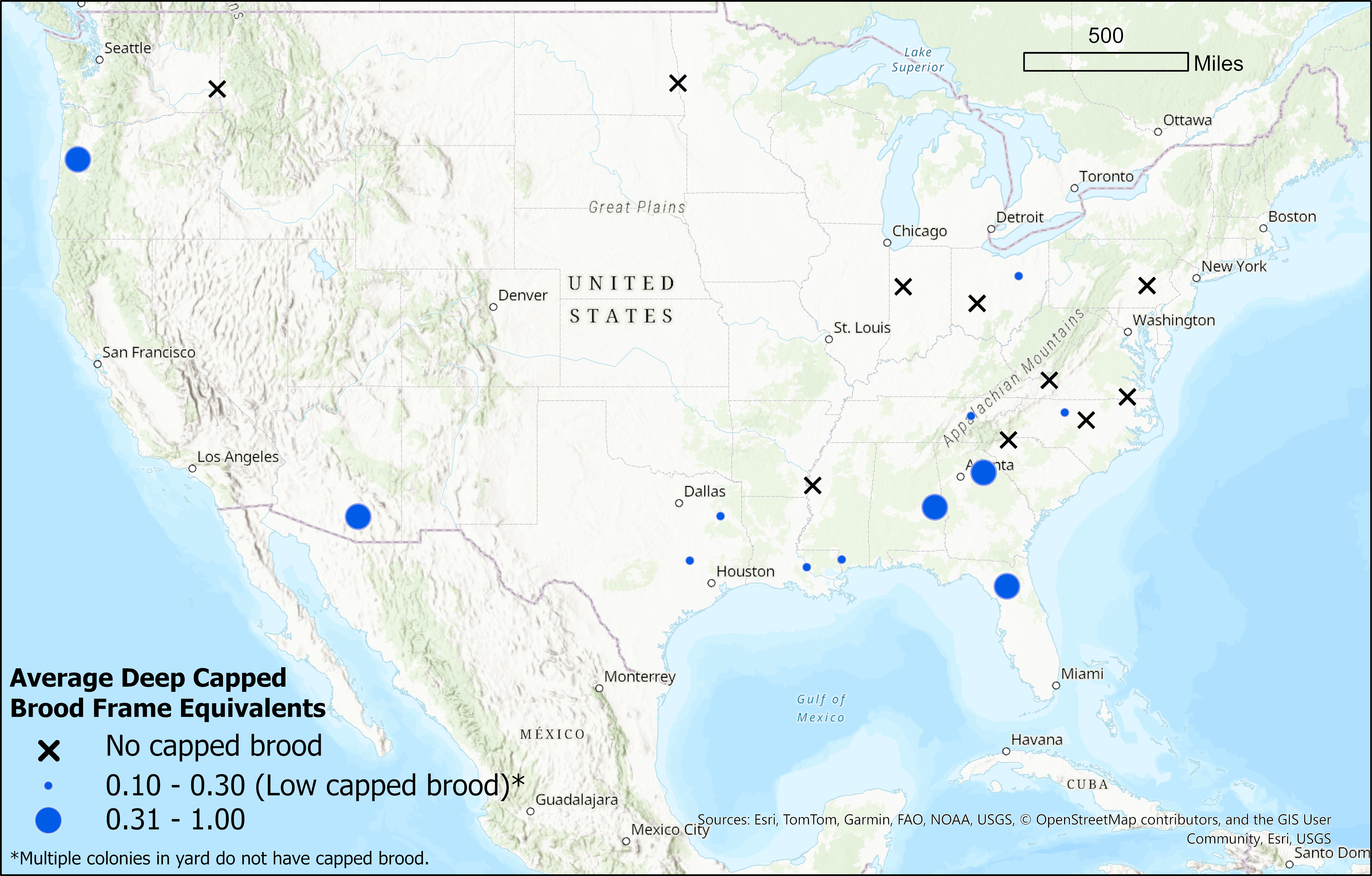 Brood monitoring map from November 11, 2025