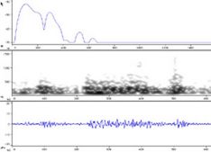 Codoma Ornata Fish Sound Production Chart