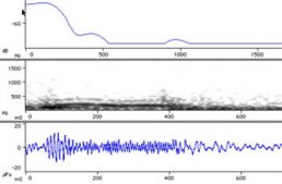 Etheostoma Corona Fish Sound Production Charts