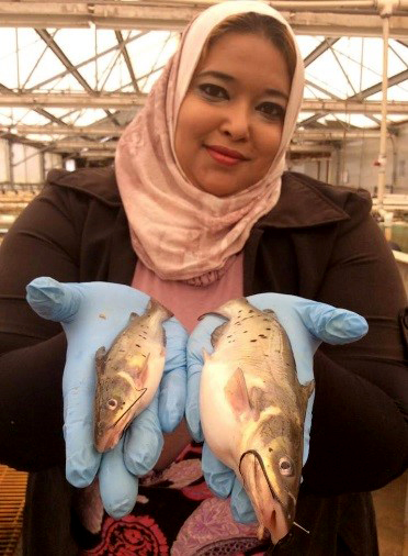 Auburn’s Youssef recognized for catfish research