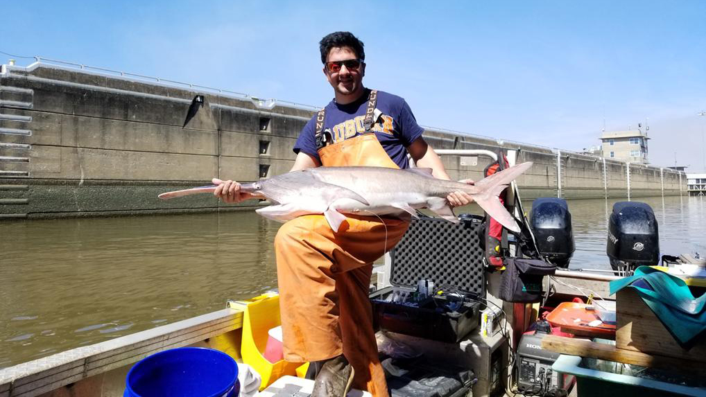 Auburn grad student holding a paddlefish on an Alabama river boat