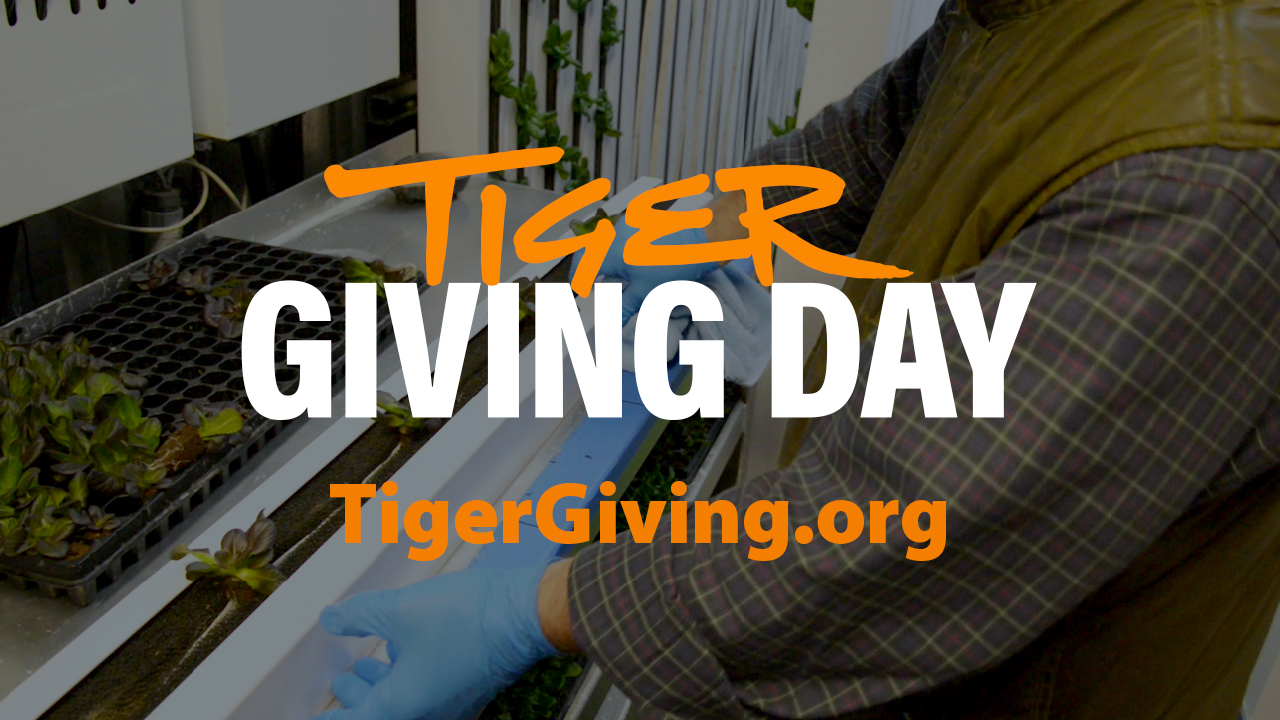 Tiger Giving Day - Horticulture, Auburn, AL