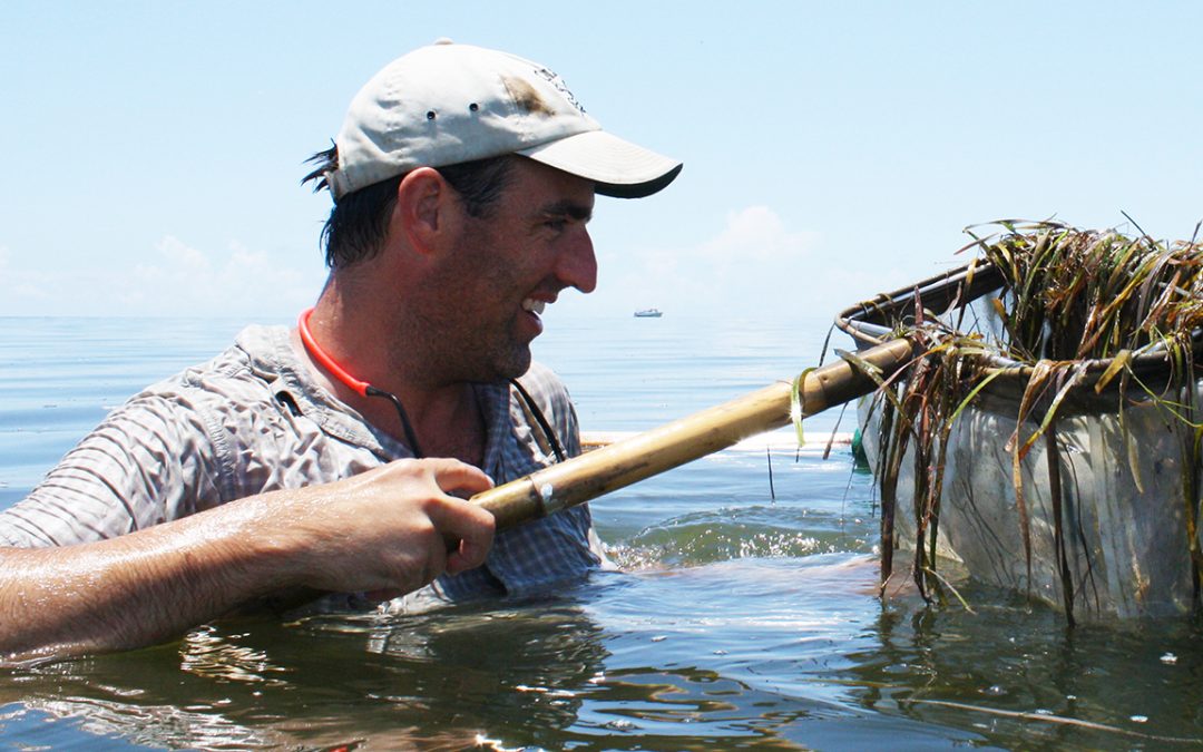 Bullard receives top honor from American Society of Parasitologists