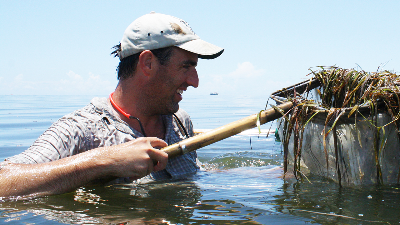 Ash Bullard up to his chest in water holding a fishing net in his right hand, Auburn University, Alabama, Professor in College of Agriculture’s School of Fisheries, Aquaculture, & Aquatic Sciences, was recently named a recipient of the Henry Baldwin Ward Medal, American Society of Parasitologists.