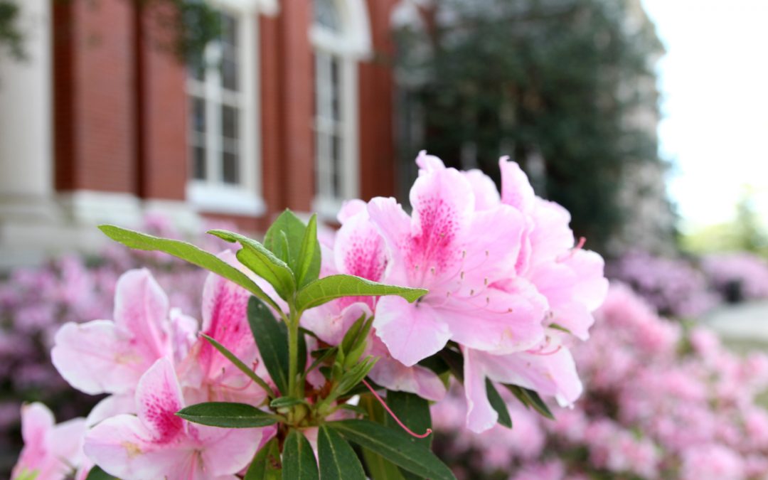 Alabama Agricultural Experiment Station announces new structure