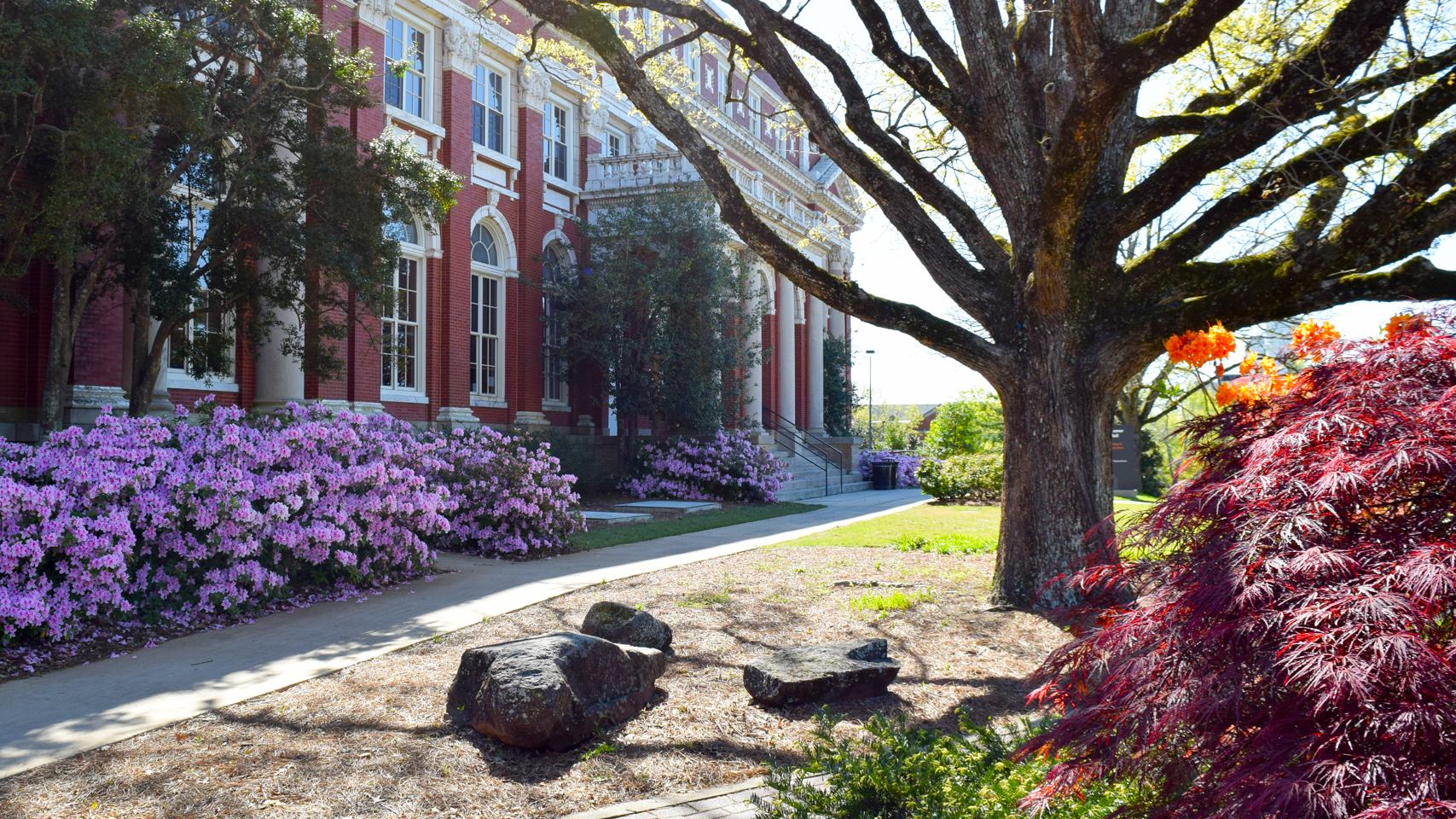 Comer Hall, College of Agriculture's Ag Hill, Auburn University, Alabama USA on a spring day with flowers blooming.