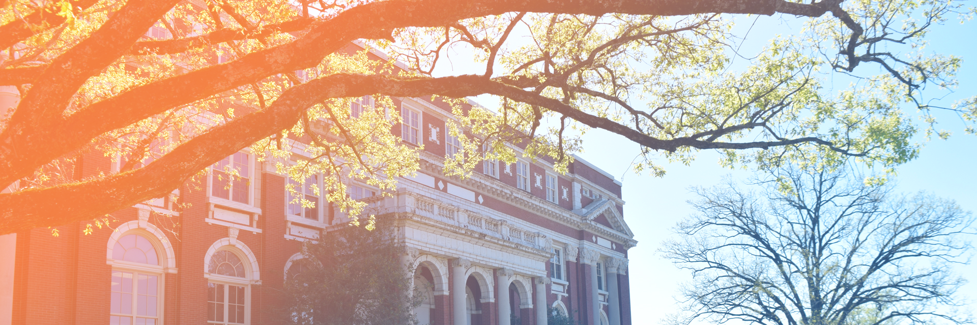 Auburn-Agriculture-Communications-Marketing-Header-02272024