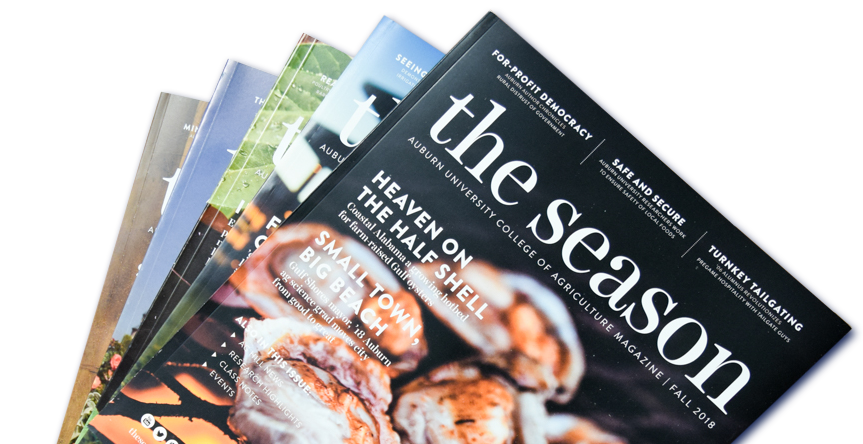 The-Season-Magazines-in-stack-half