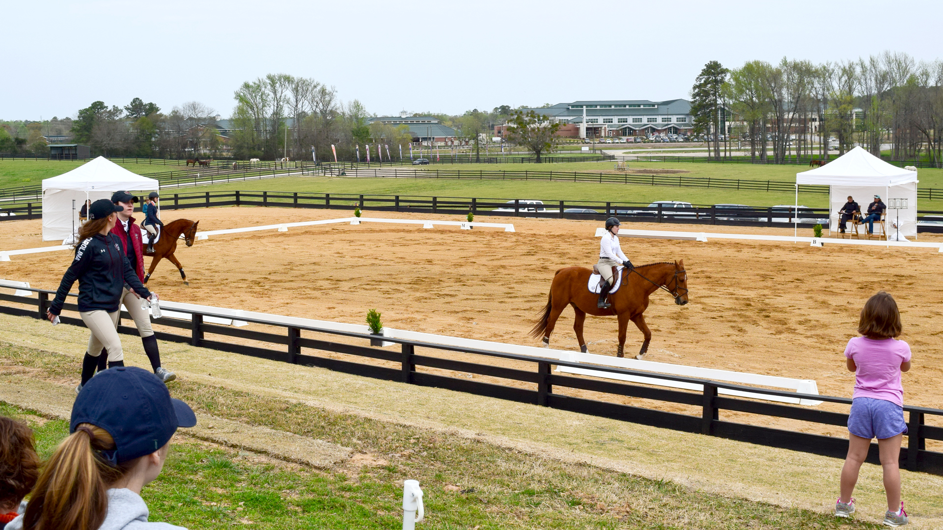 Auburn University Equestrian Research Center practice area with students riding horses
