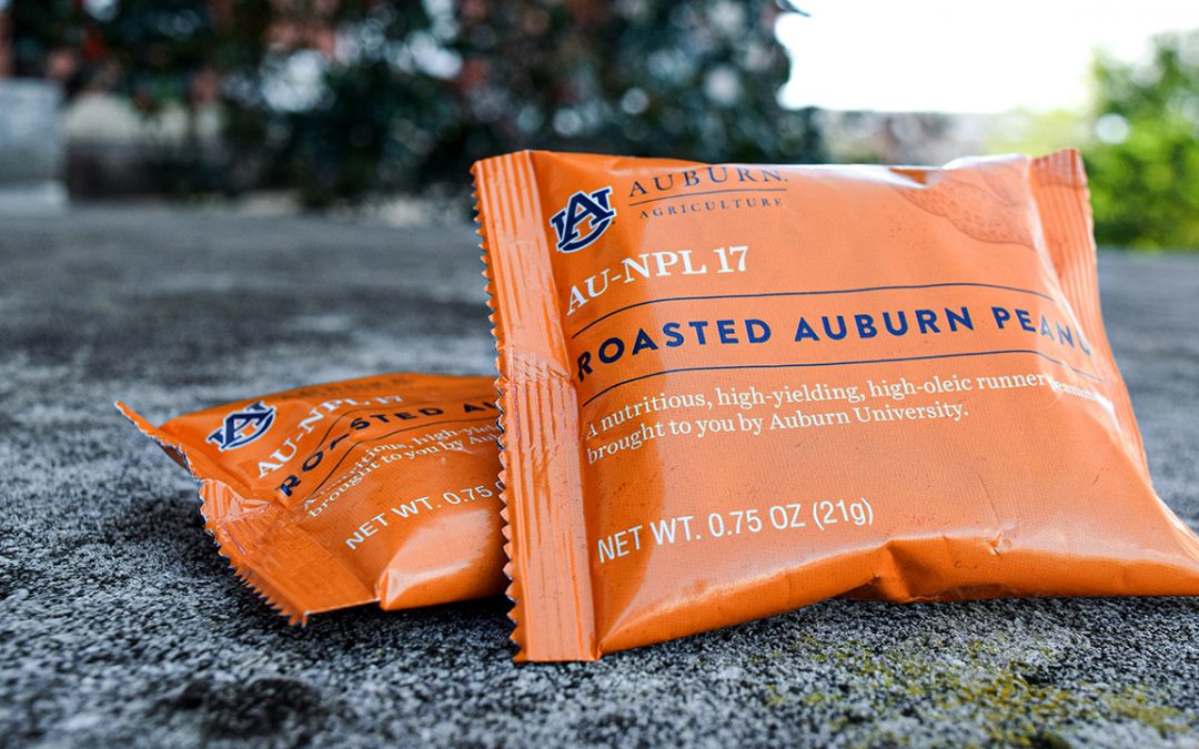 Two orange bags contain AU NPL 17, roasted Auburn University peanuts.