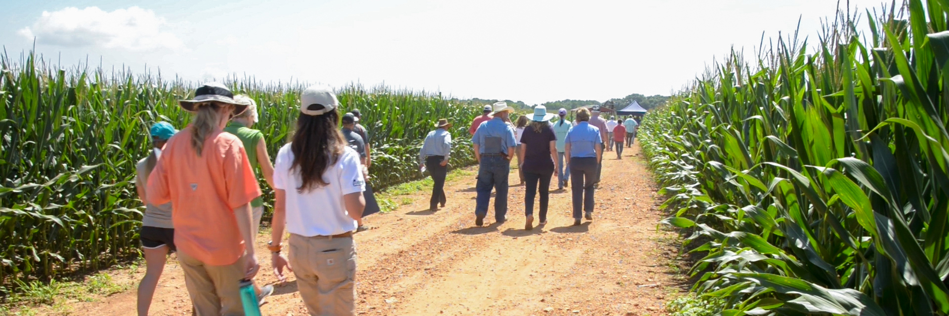 Brenda-Ortiz-Precision-Irrigation-20190626-sm