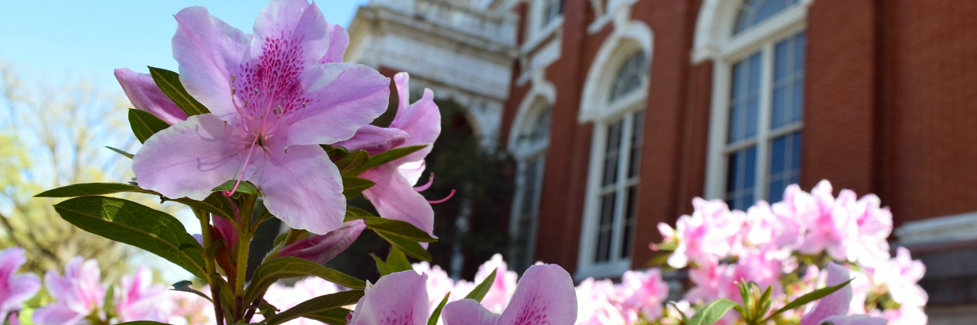 Store / Auburn University College of Agriculture