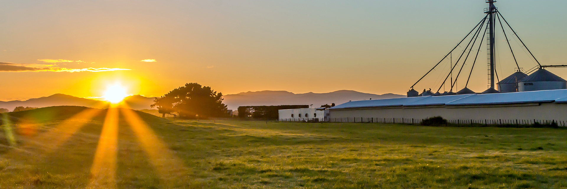 Southern-Farm-Sunset-sm