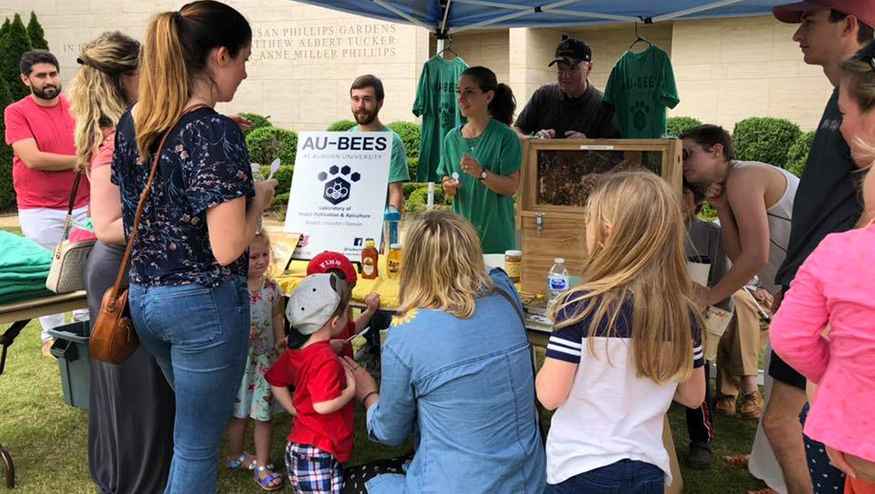 AU-BEES booth at Auburn community event