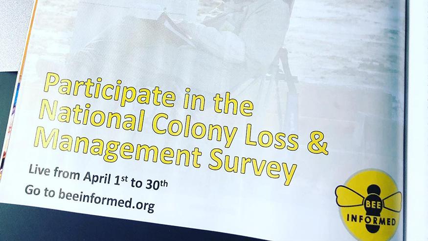 National Colony Loss and Management Survey flier