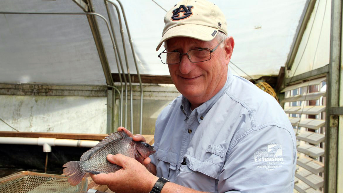 Aquaponics, Aquaculture researcher holding a fish with Auburn University hat