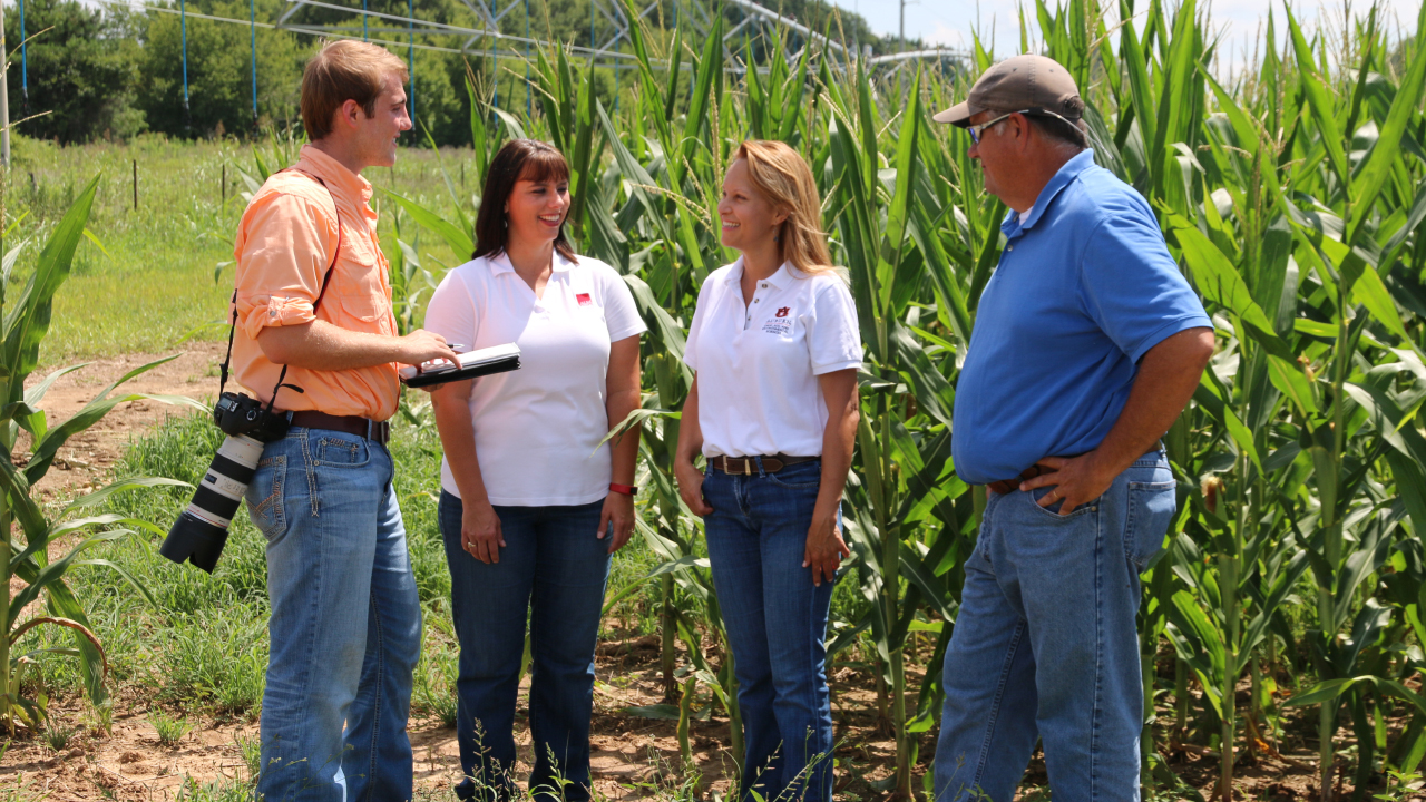 From left to right: Caleb Hicks, Carla Hornady, Alabama Farmers Federation's director of soybean, wheat & feed grains and cotton divisions, Brenda Ortiz, Extension Specialist & Associate Professor Crop, Soil and Environmental Sciences and Greg Pate, E.V. Smith Research Center, director, discussing nitrogen and irrigation trials.