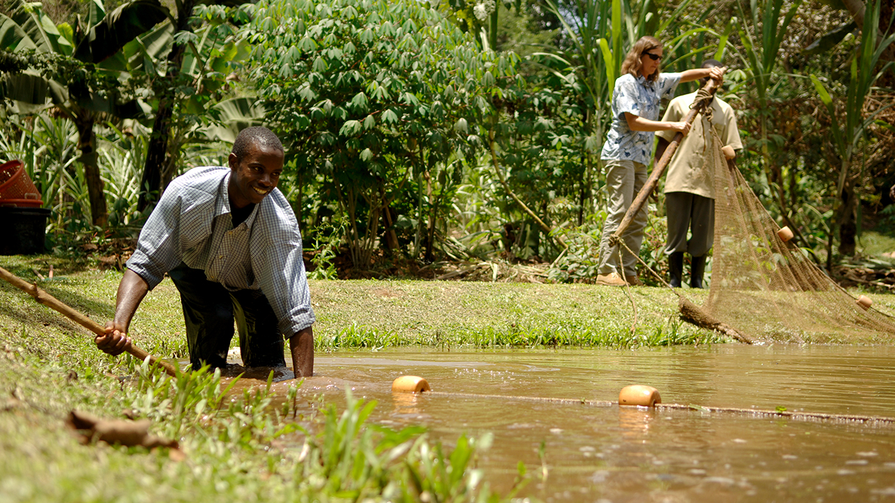 Auburn-Fisheries-Research-Project-Outreach-Aquaculture-Uganda-Africa