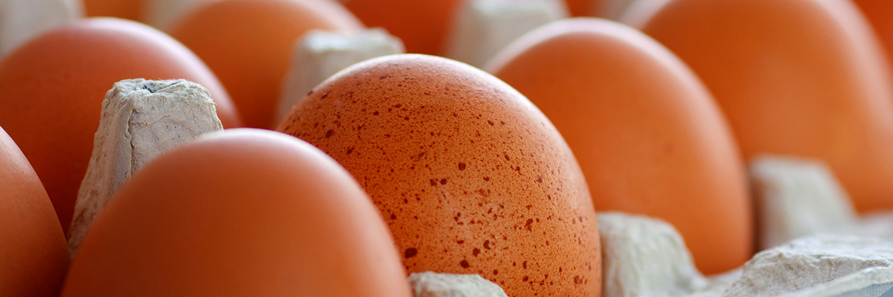 Fresh organic round firm beautiful brown chicken eggs in a protective box, closeup, not nuggets.