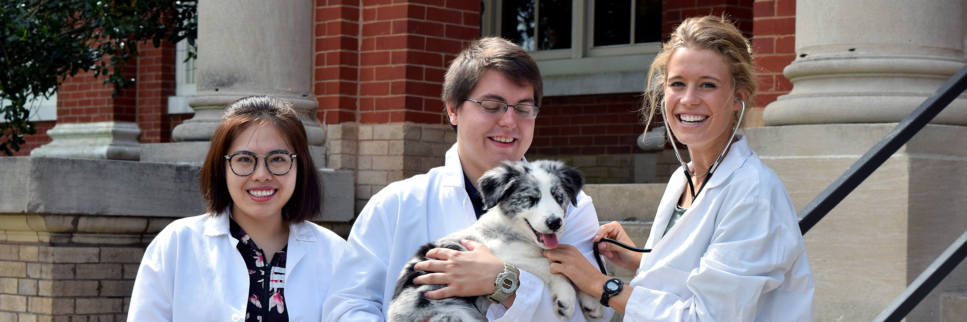 ANSC Pre-Vet Med & Pre-Professional / Auburn University College of  Agriculture