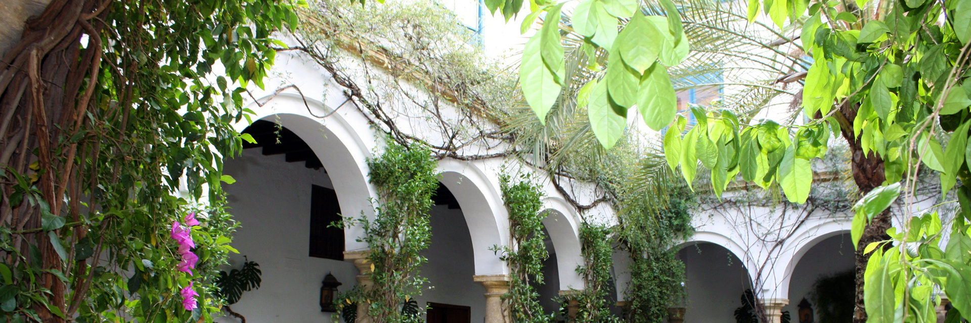 Auburn College of Agriculture, Pre-Landscape Architecture Major Degree, Horticulture Student Club visits Spain, Spanish Courtyard House Design, Flowers, Green Vines