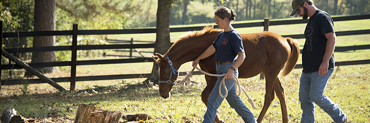 Horse-being-walked-by-2-Auburn-Students-Animal-Equine-Science-Major-Degree-sm