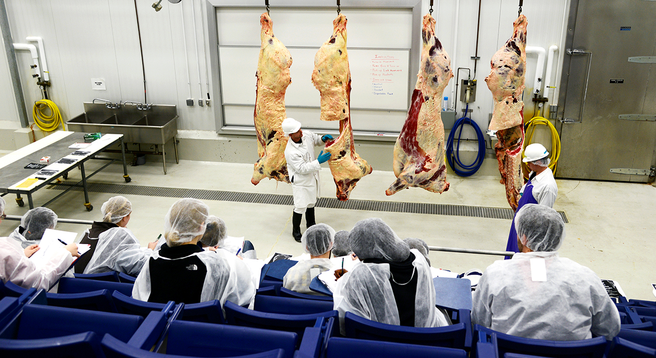 Meats-Lab-Auburn-AL-processing-room-0087