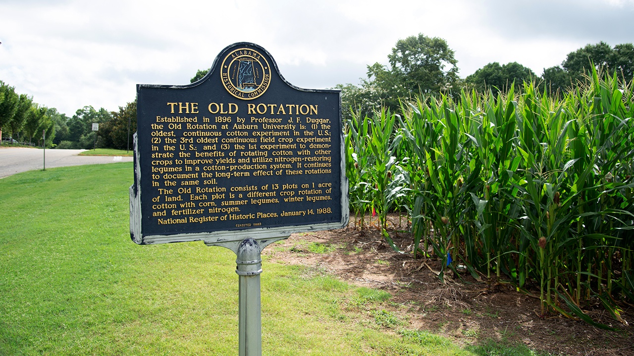 The-Old-Rotation-Auburn-University-AL-Historic-Marker-Crop-Experiment