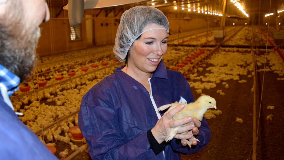 Poultry Science / Auburn University College of Agriculture