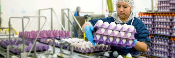 Online-Egg-HACCP-Certification-Working-with-Containers-sm