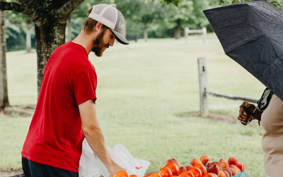 Market at Ag Heritage Park open for the summer