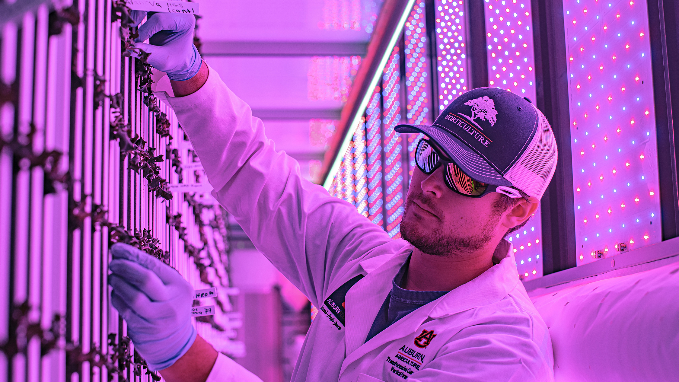 Graduate students work in the vertical farm shipping containers