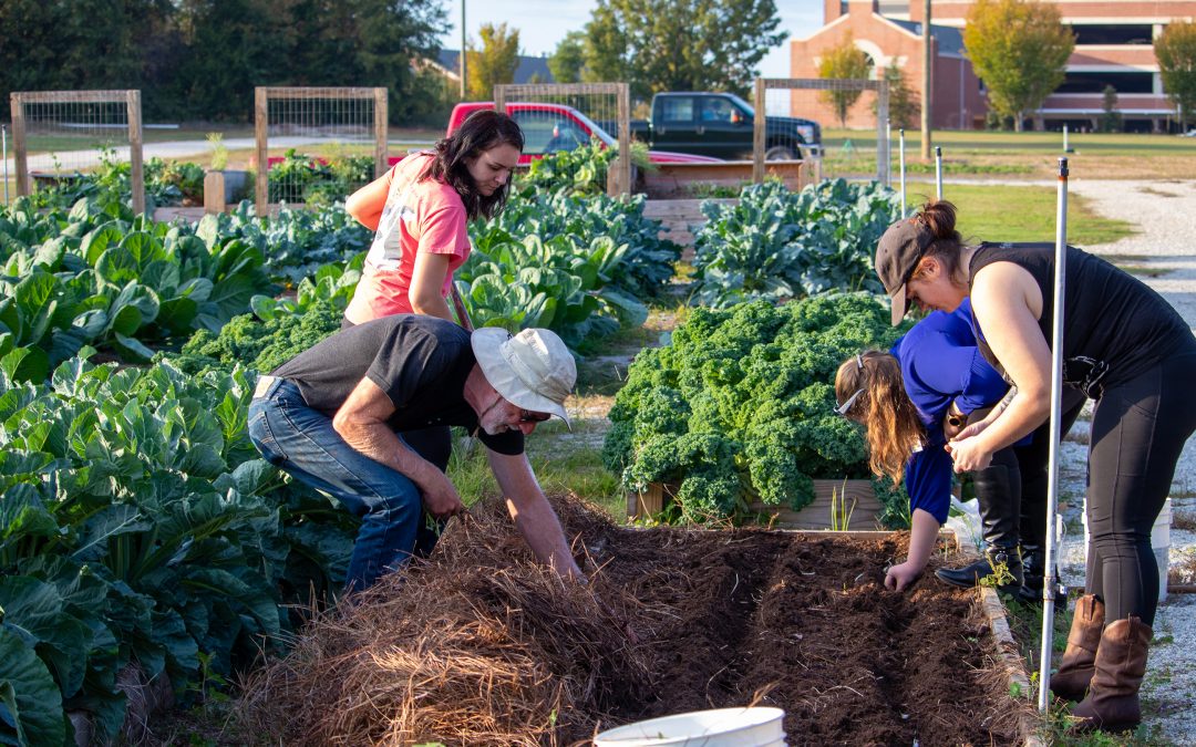 Board of Trustees approves construction of Transformation Garden