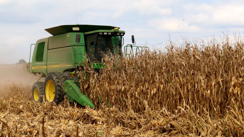 Tillage-of-corn-field