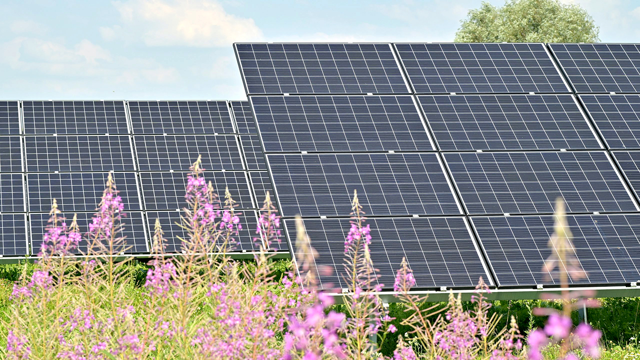 Solar-panels-field-rural-sociology-USDA-grant-study