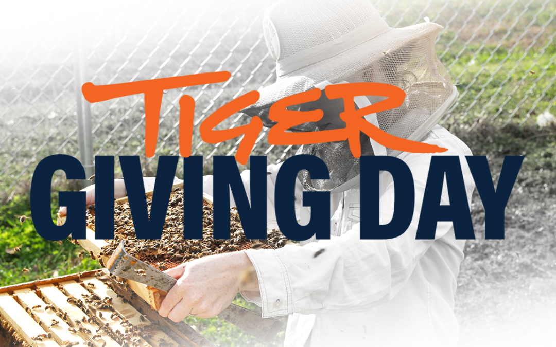 Tiger Giving Day 2022
