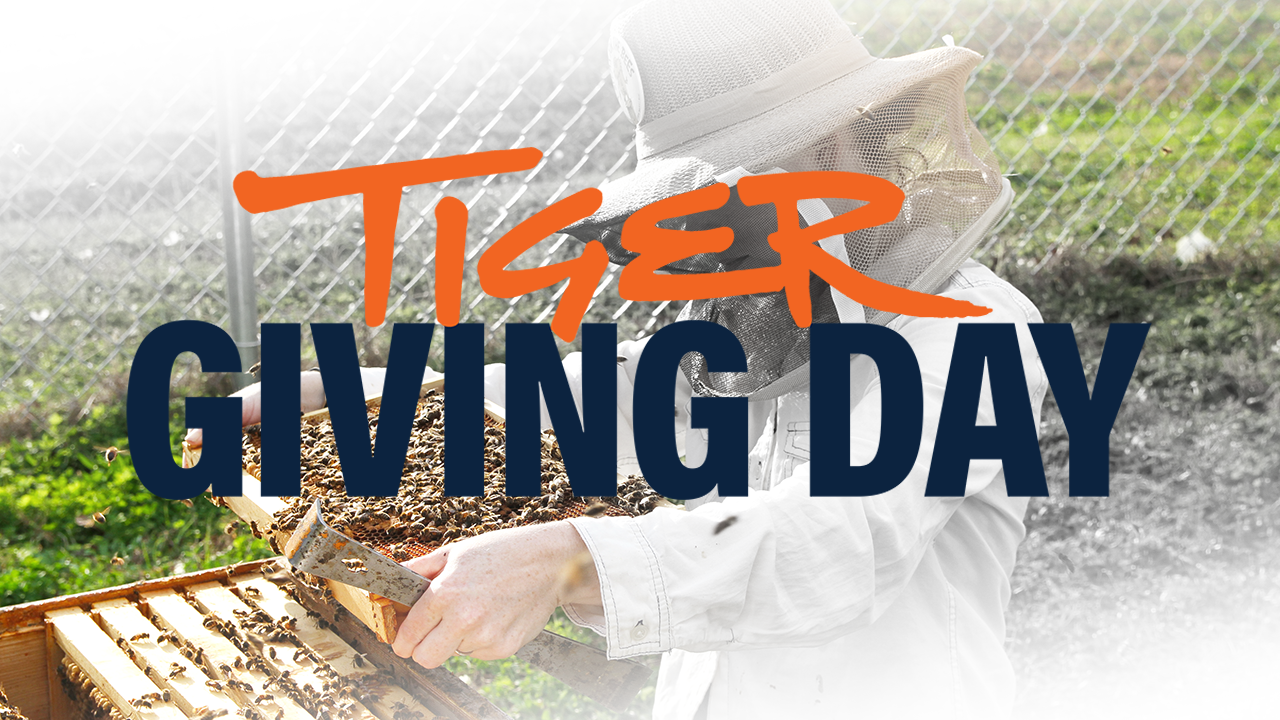 Tiger Giving Day, Auburn University student bee keeper, Feature Image 2022