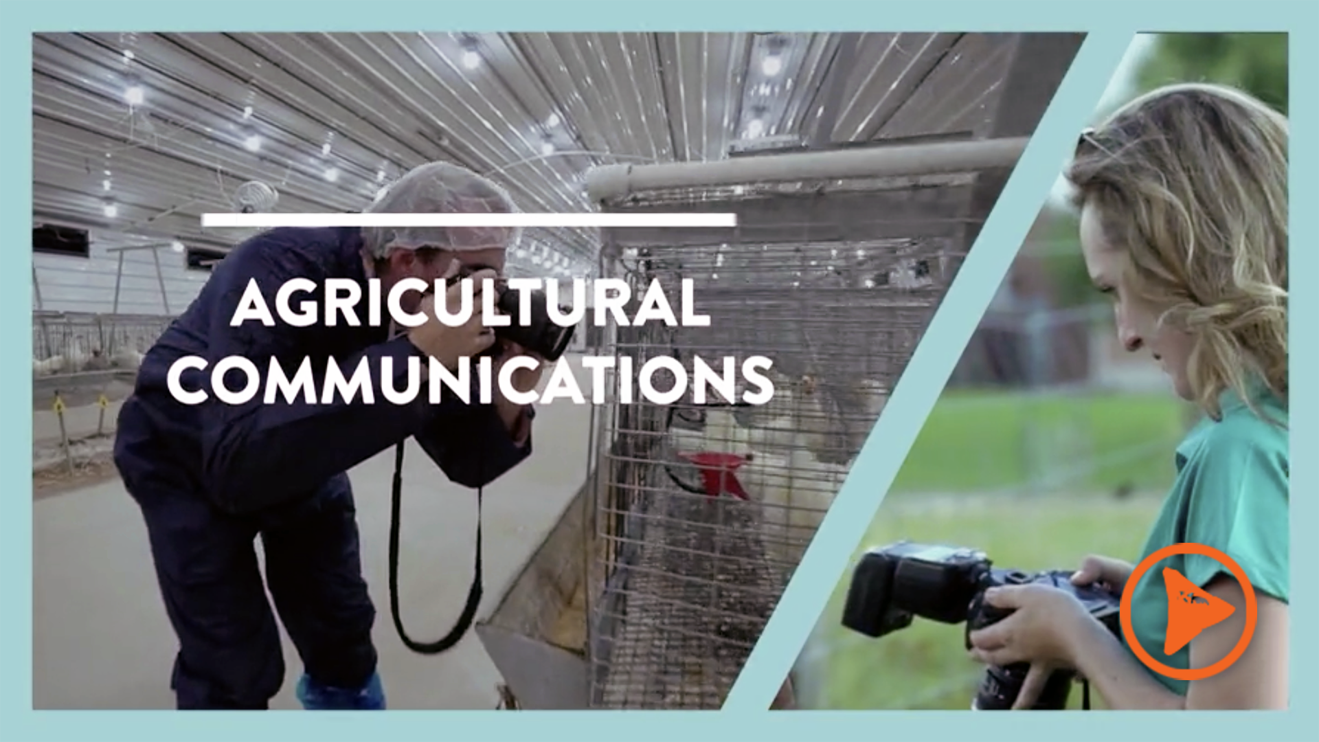 Agricultural-Communications-Auburn-COA-Student-Bridge-Play-Video-Thumb