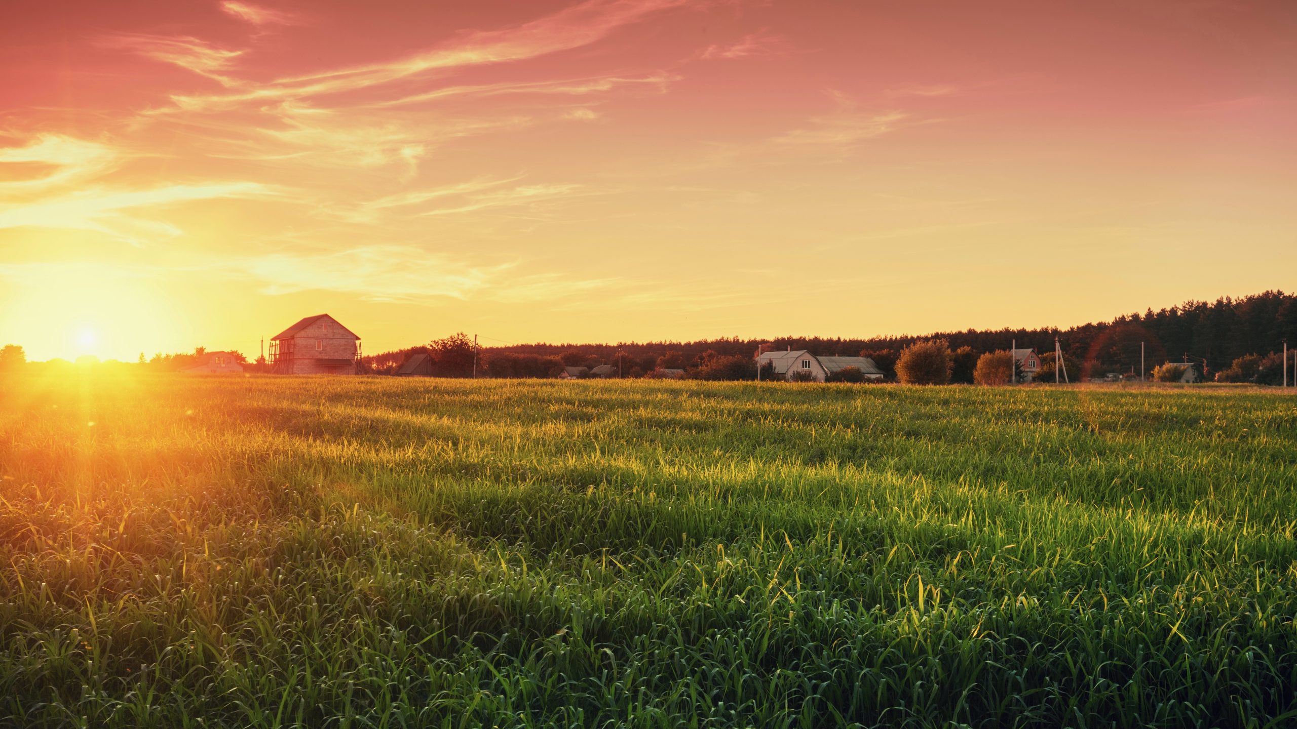 5 misconceptions about agriculture, explained / Auburn University