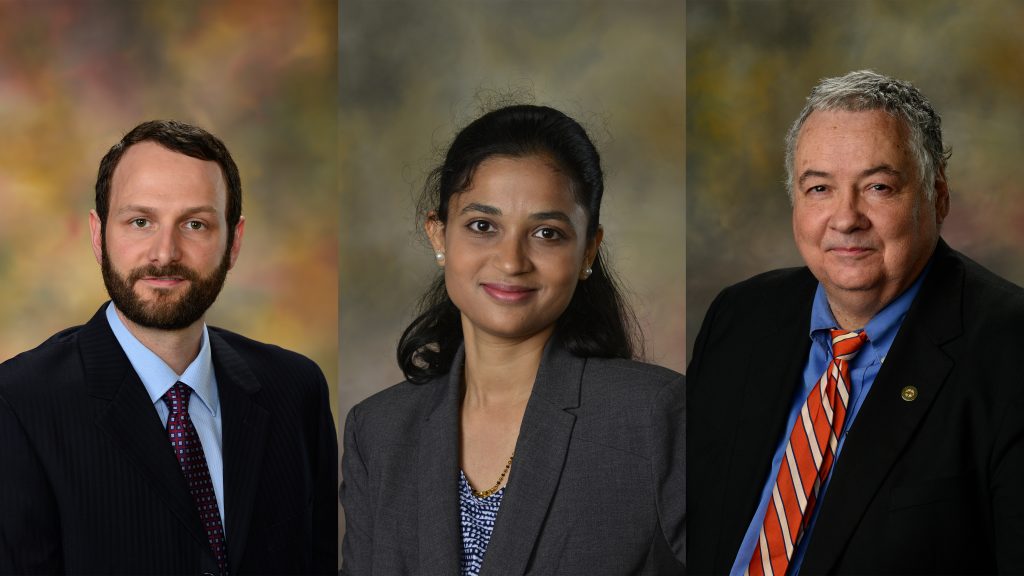 Faculty honored with endowed professorships / Auburn University College