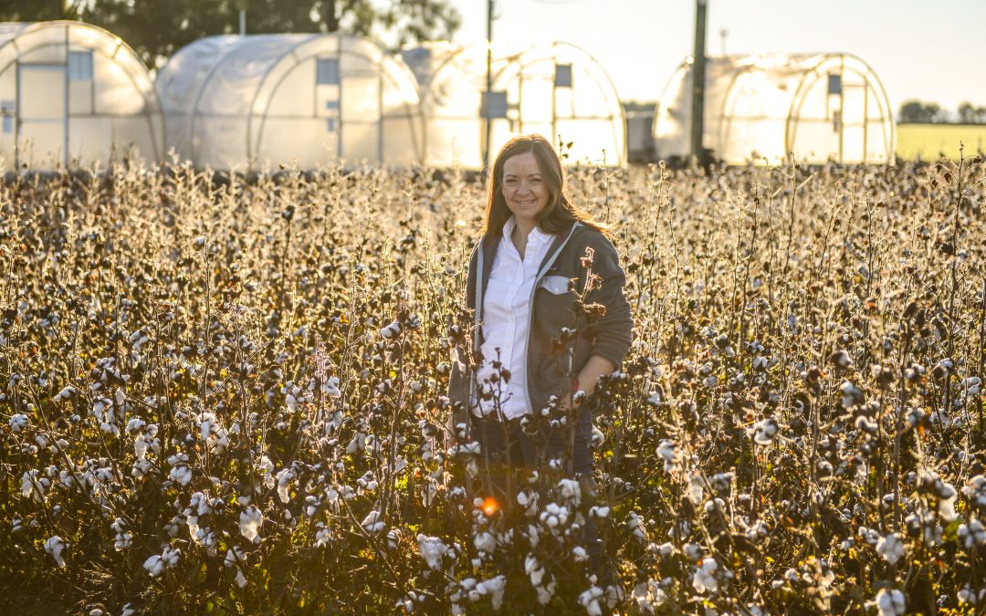 Koebernick named to USDA Plant Variety Protection Board
