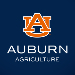 COA-headshot-AU-Logo-Auburn-bluebg-Press-Backdrop-Redcarpet-Interview-Default-Square-202209