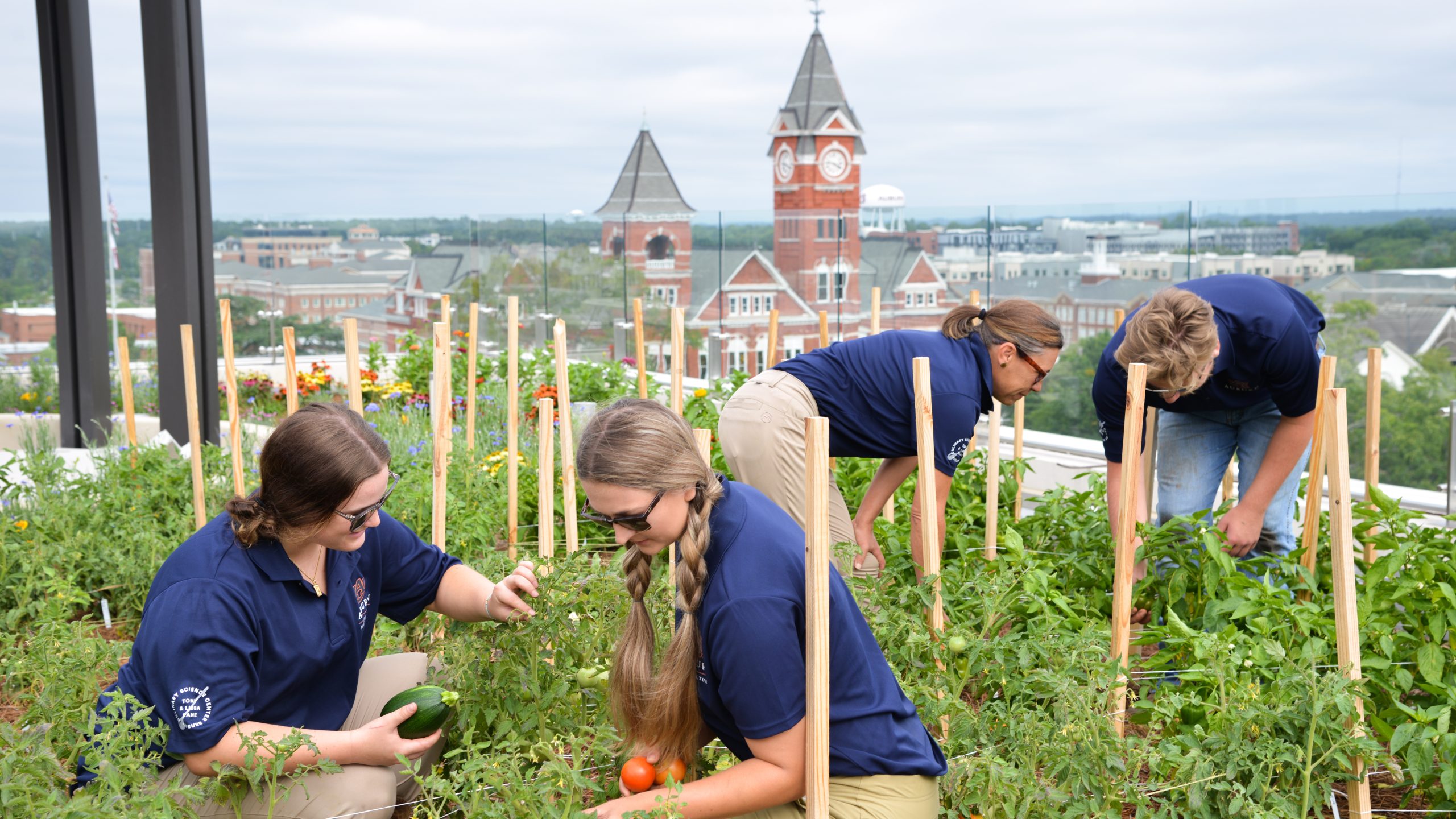 Rooftop Rane Culinary Center Garden,