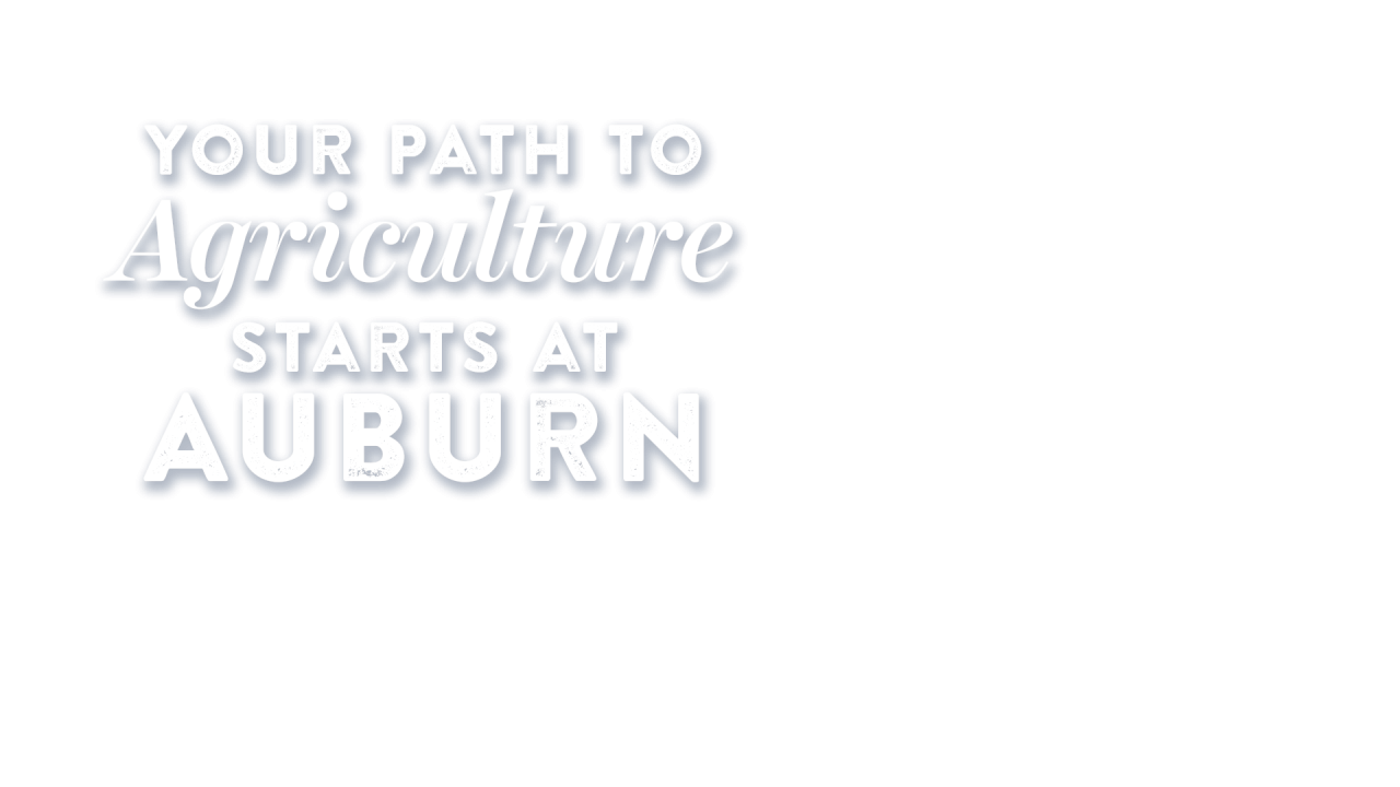 Path to the Plains with Southern Union / Auburn University College of