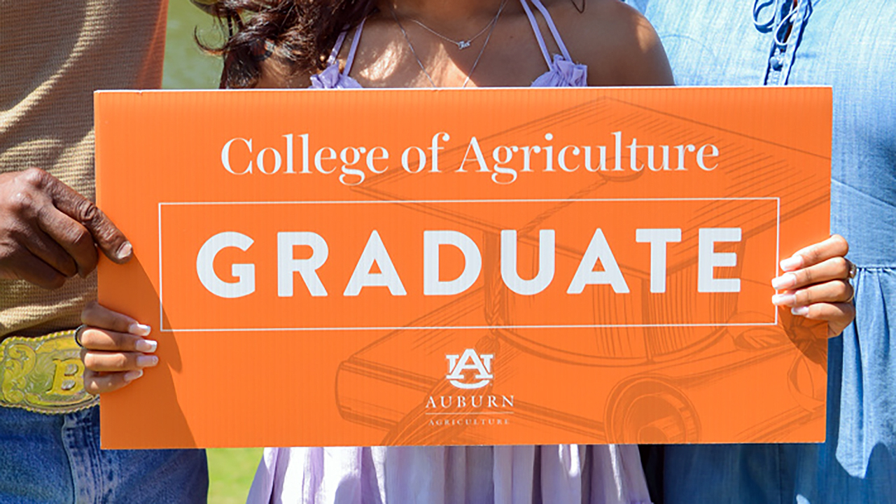 Auburn-University-College-of-Ag-Graduate-Student-in-purple-dress-southern-family-Congrats-at-lake-front-shiny-belt-buckle-sunshine