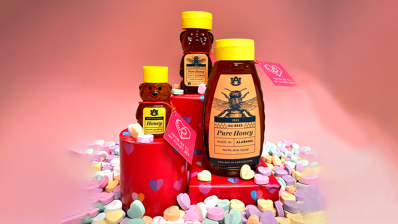 Happy-Valentines-Day-Auburn-Pure-AU-Bee-Honey-2023