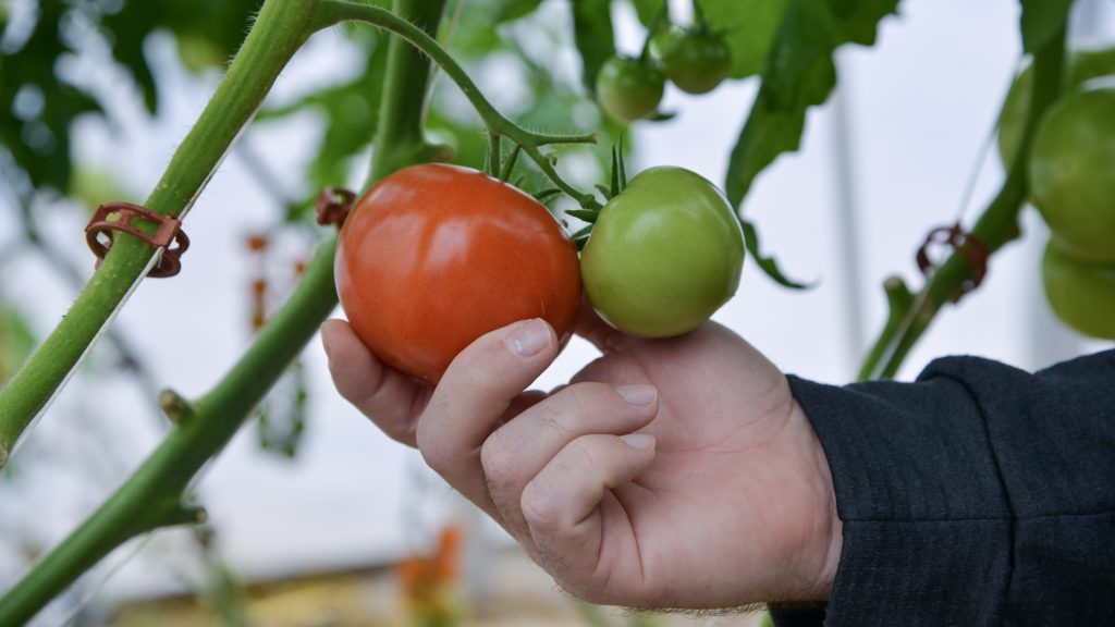 research grants agriculture