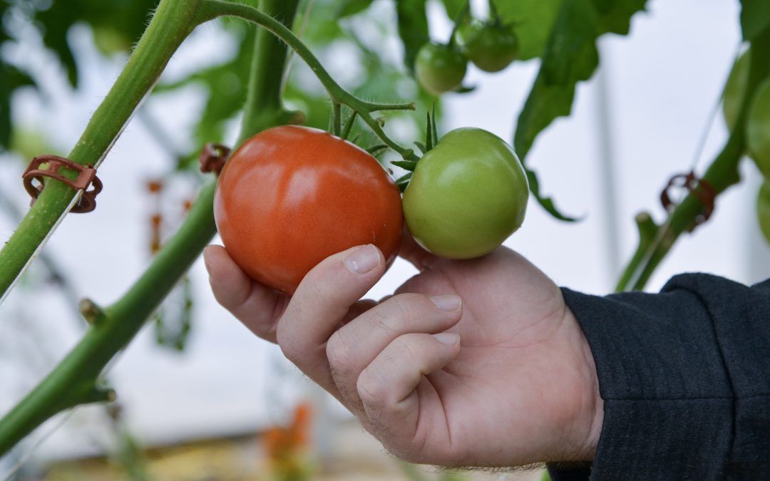 Agricultural funding received for research grants, new equipment