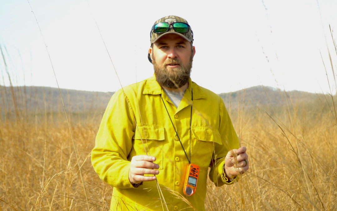 Naturalist shares his thoughts on the conservation of Southeastern grasslands